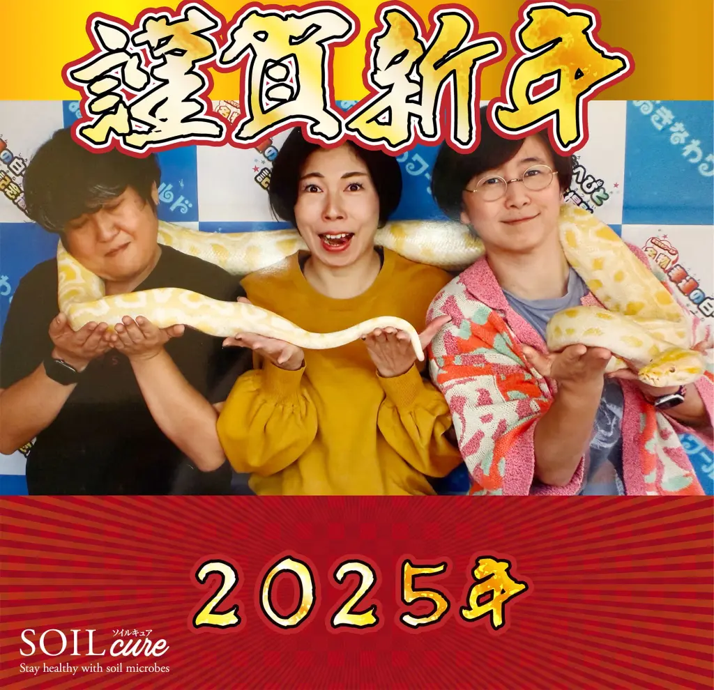 土*様 【ド陽炎・サービス品】コンパクト×ハイクオリティのエボリスピナ！ベアルー 新年のご挨拶 | 土壌細菌群プロバイオティクスサプリSOIL cure