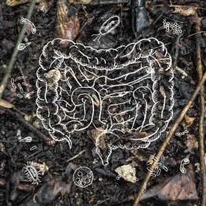 土壌菌サプリSOIL cure(ソイルキュア)腸活はじめるなら プロ 土壌菌サプリSOIL cure(ソイルキュア)腸活はじめるなら プロ