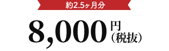 8,000円（税抜）